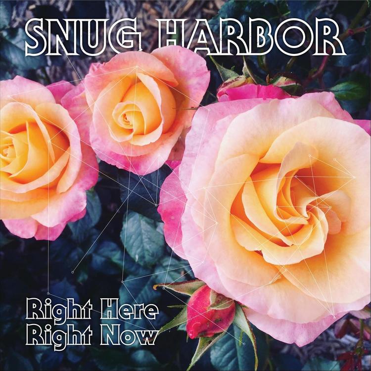 Snug Harbor's avatar image