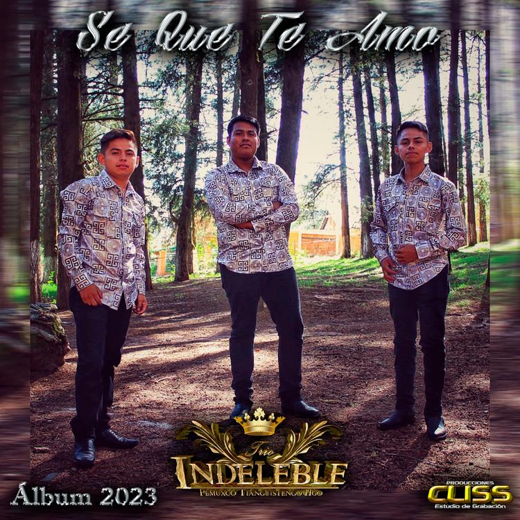 Trio Indeleble's avatar image