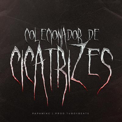 Colecionador de Cicatrizes's cover