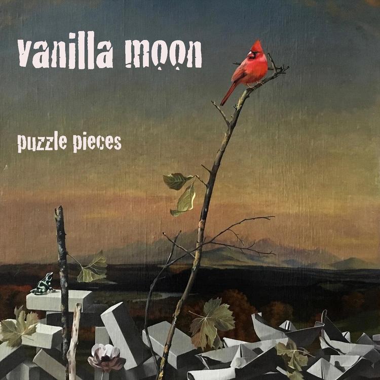 Vanilla Moon's avatar image