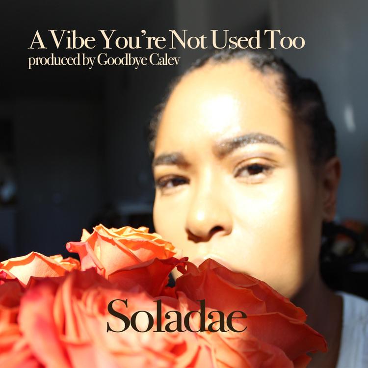 The Lovely Soladae's avatar image