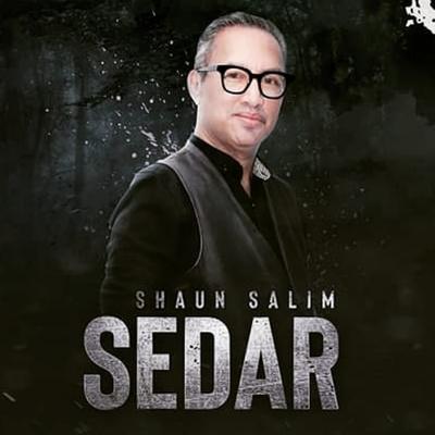 Shaun Salim's cover