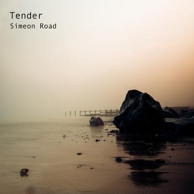 Tender By Simeon Road's cover