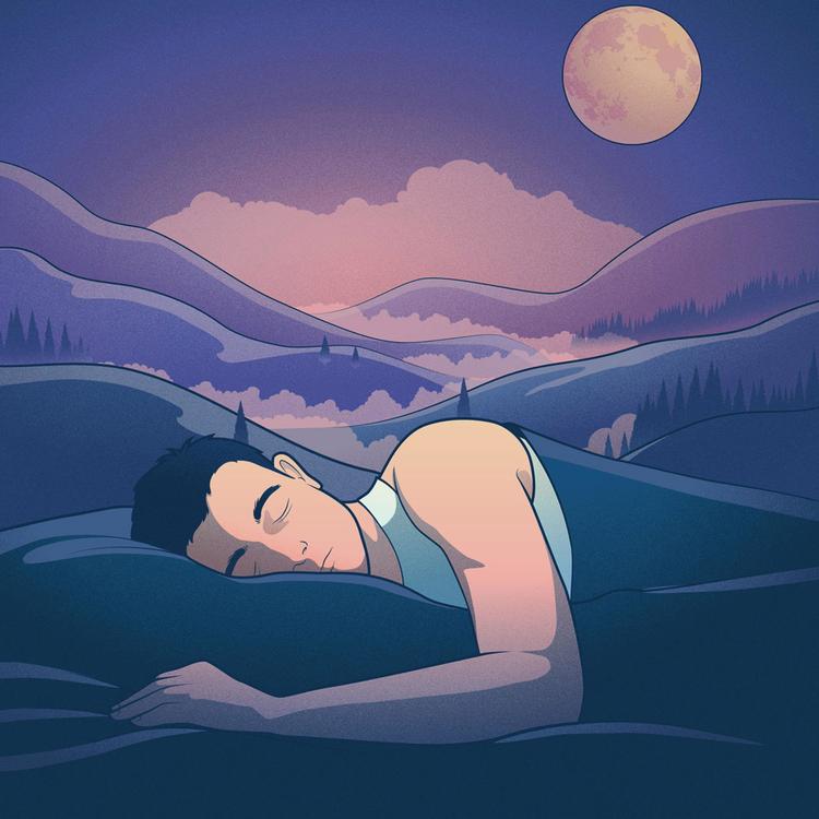 Musica Para Dormir Perfeita's avatar image