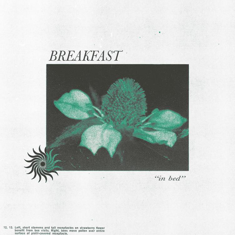 Breakfast's avatar image