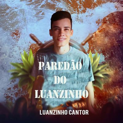 Paredão do Luanzinho's cover