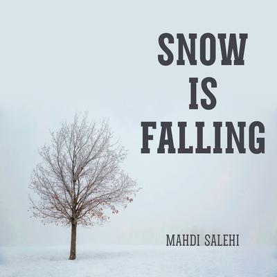 Snow Is Falling By Mahdi Salehi's cover