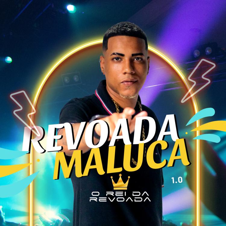 O REI DA REVOADA's avatar image