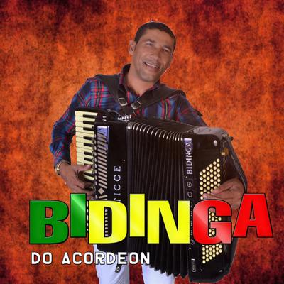 Vaqueiro Doido By Bidinga Do Acordeon's cover