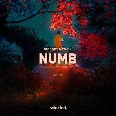 Numb's cover