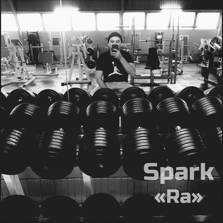 Spark's avatar image