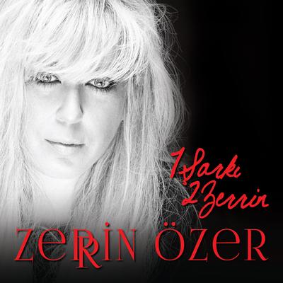 1 Şarkı 2 Zerrin's cover