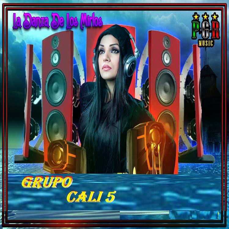 Grupo Cali 5's avatar image