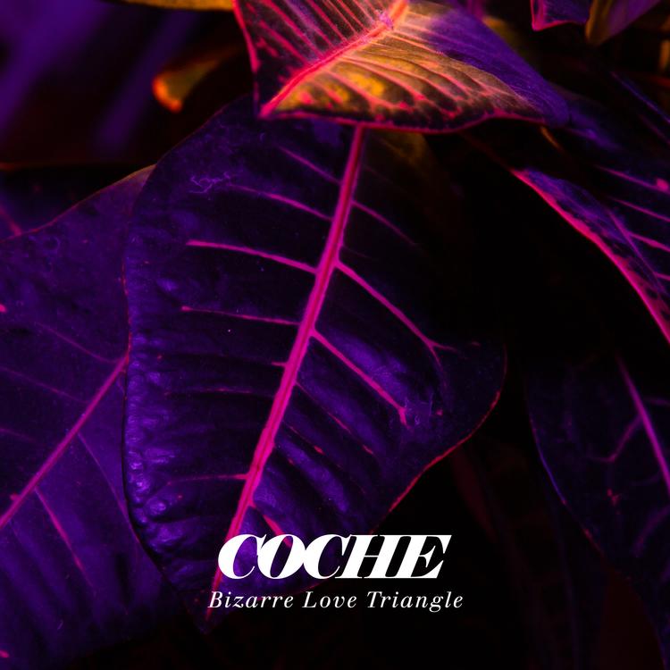 Coche's avatar image