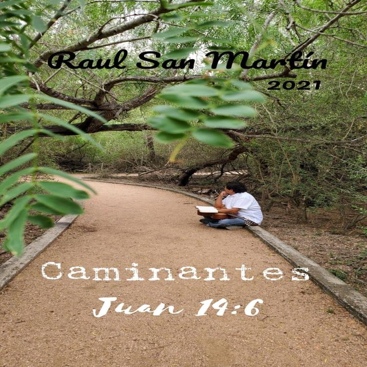 Raul San Martin's avatar image