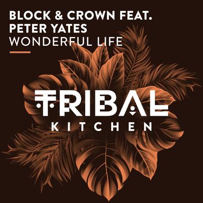 Wonderful Life (Radio Edit) By Block & Crown, Peter Yates's cover