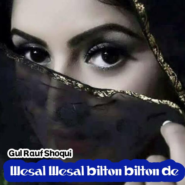 Gul Rauf Shoqui's avatar image