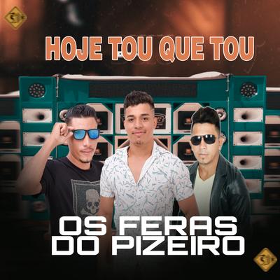 Hoje Tou Que Tou (Cover) By Os Feras do Pizeiro's cover