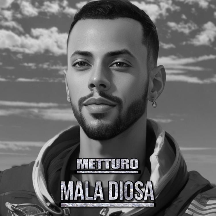 Metturo's avatar image