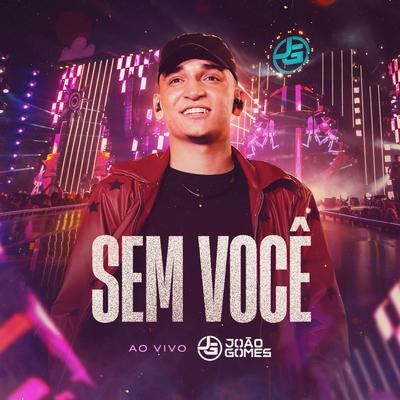 Sem Você (Ao Vivo) By João Gomes's cover