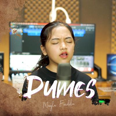 Dumes's cover