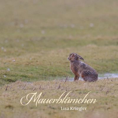 Mauerblümchen By Lisa Kriegler's cover