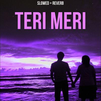 Teri Meri (Slowed+Reverb)'s cover