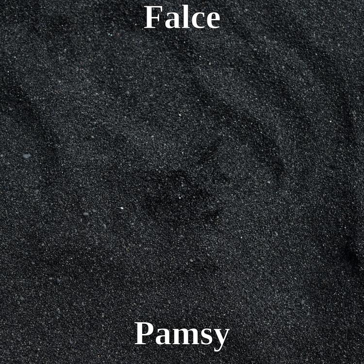 PAMSY's avatar image