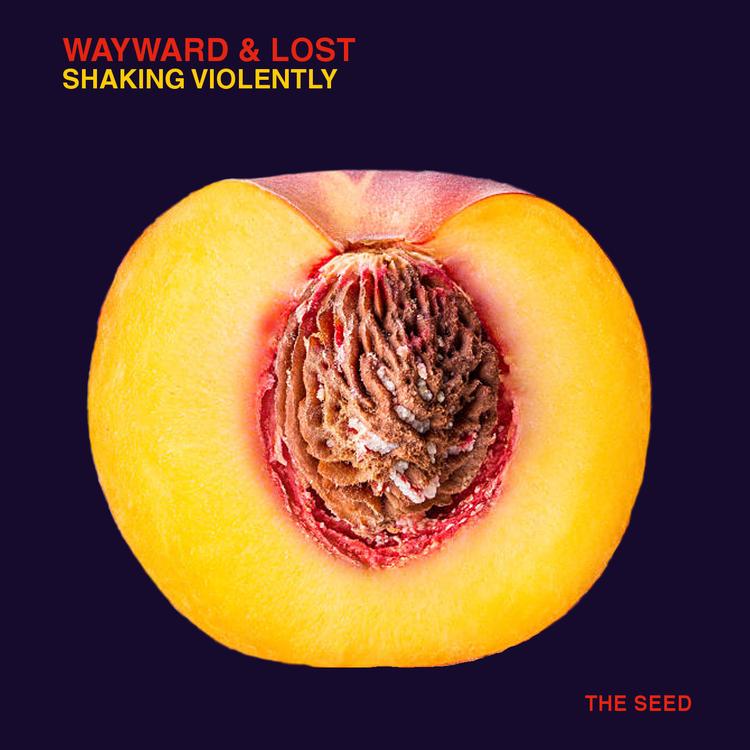 Wayward & Lost's avatar image