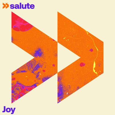 Joy By salute's cover