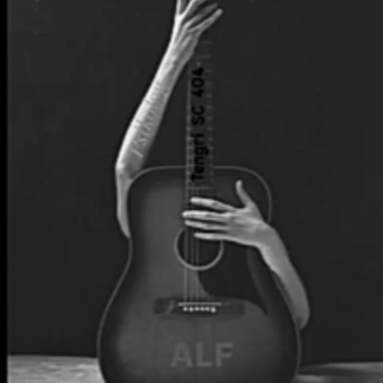 ALF's avatar image