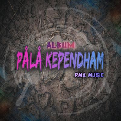 Pålå Kependham's cover