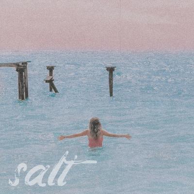 Salt By Kelsey Edwards's cover