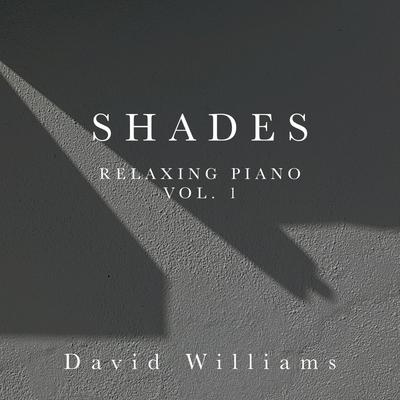 Shades By David Williams's cover