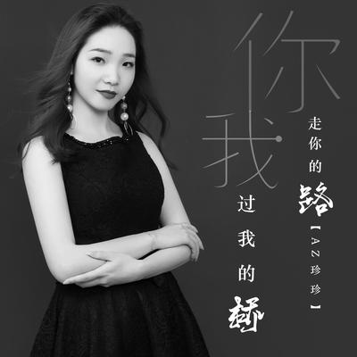 你走你的路我过我的桥's cover