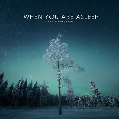 When You Are Asleep By Martin Herzberg's cover