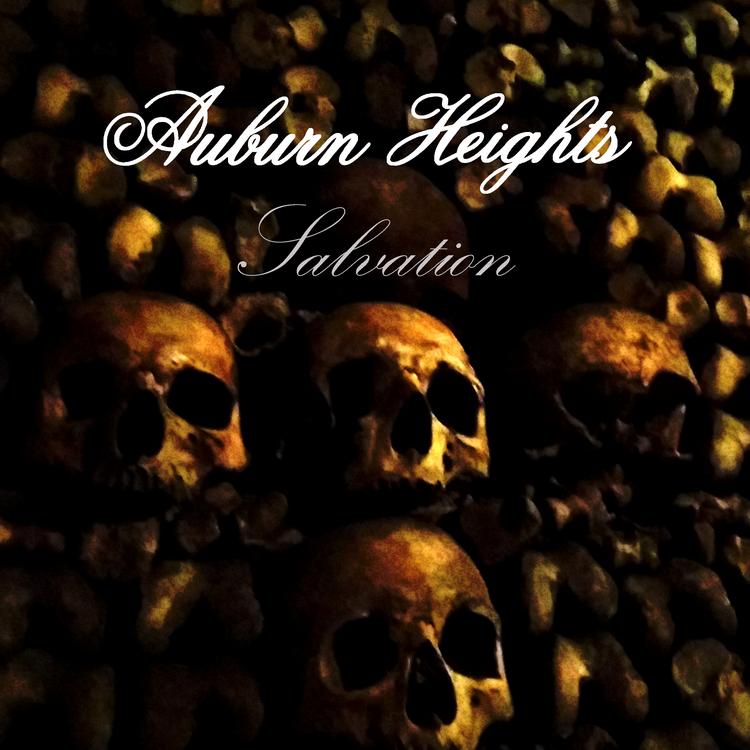 Auburn Heights's avatar image