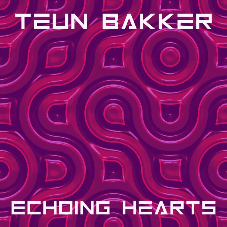 Teun Bakker's avatar image