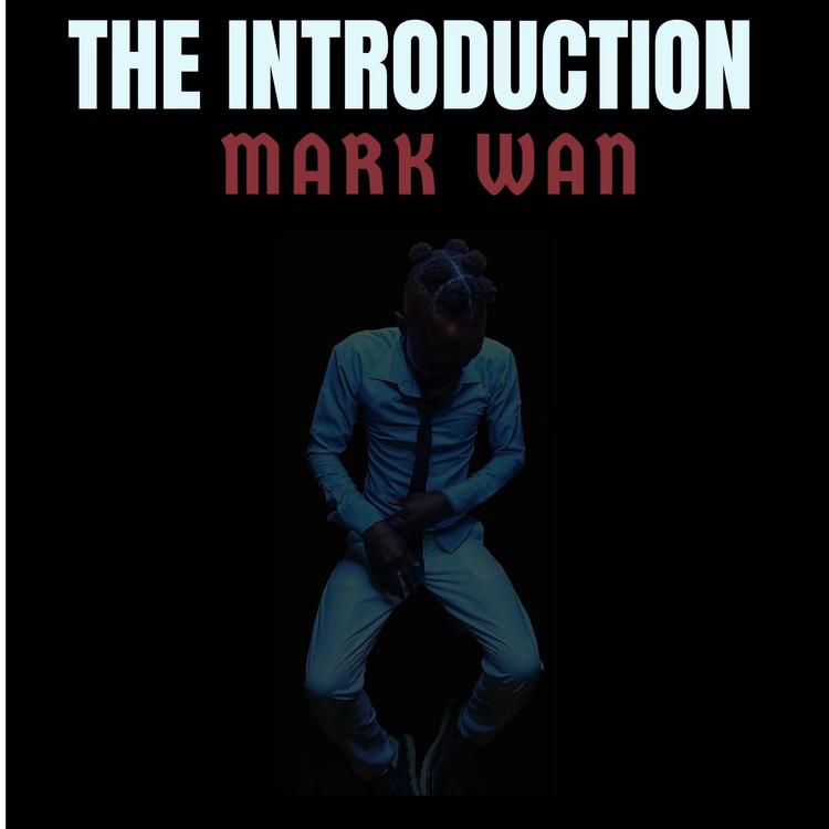 Mark Wan's avatar image
