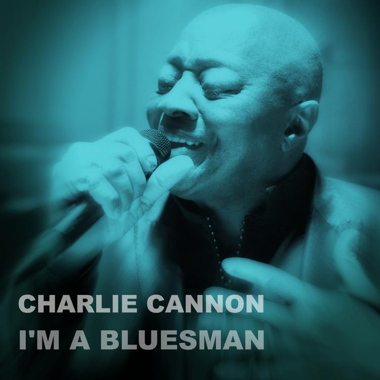 Charlie Cannon's avatar image