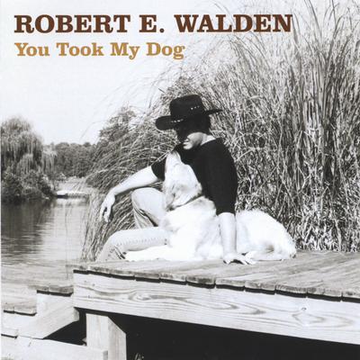 Were Like Fire in the Rain By Robert E. Walden's cover