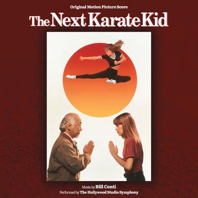 The Next Karate Kid (Original Motion Picture Soundtrack)'s cover