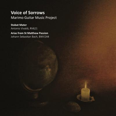 Voice of Sorrows: Marimo Guitar Music Project's cover