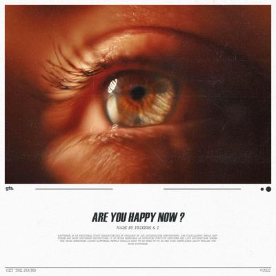 Are You Happy Now By Friends & I's cover