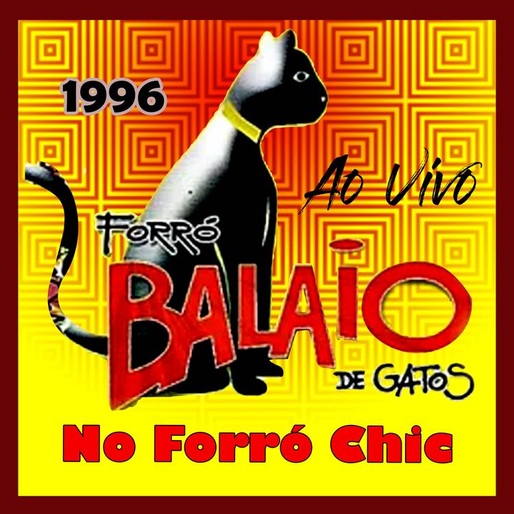 FORRÓ BALAIO DE GATOS's avatar image