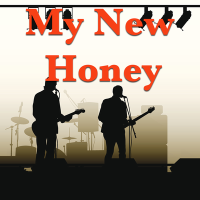 My New Honey's cover