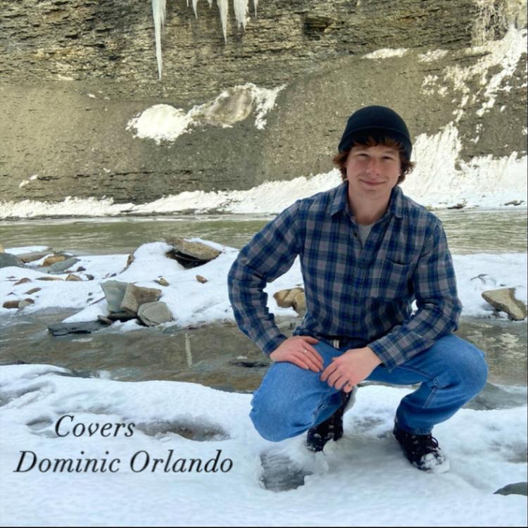 Dominic Orlando's avatar image