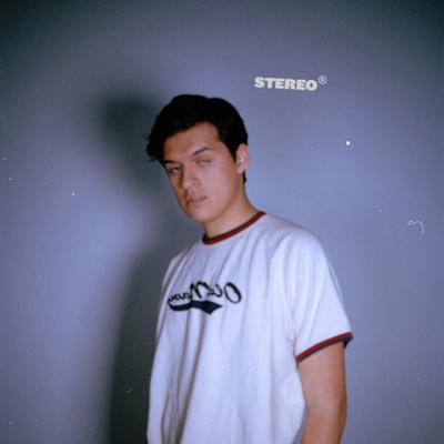 Stereo's cover