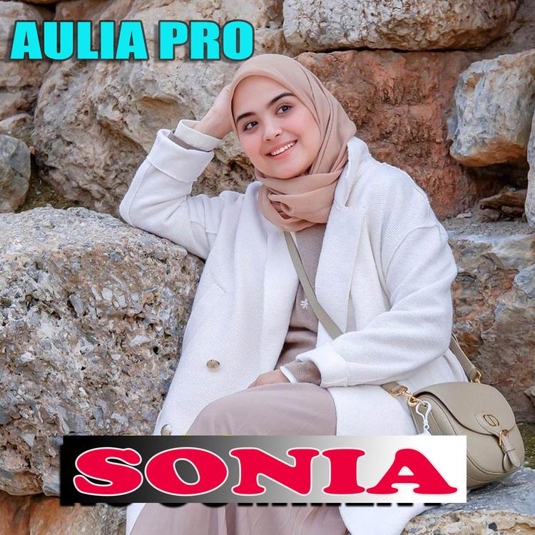 AULIA PRO's avatar image