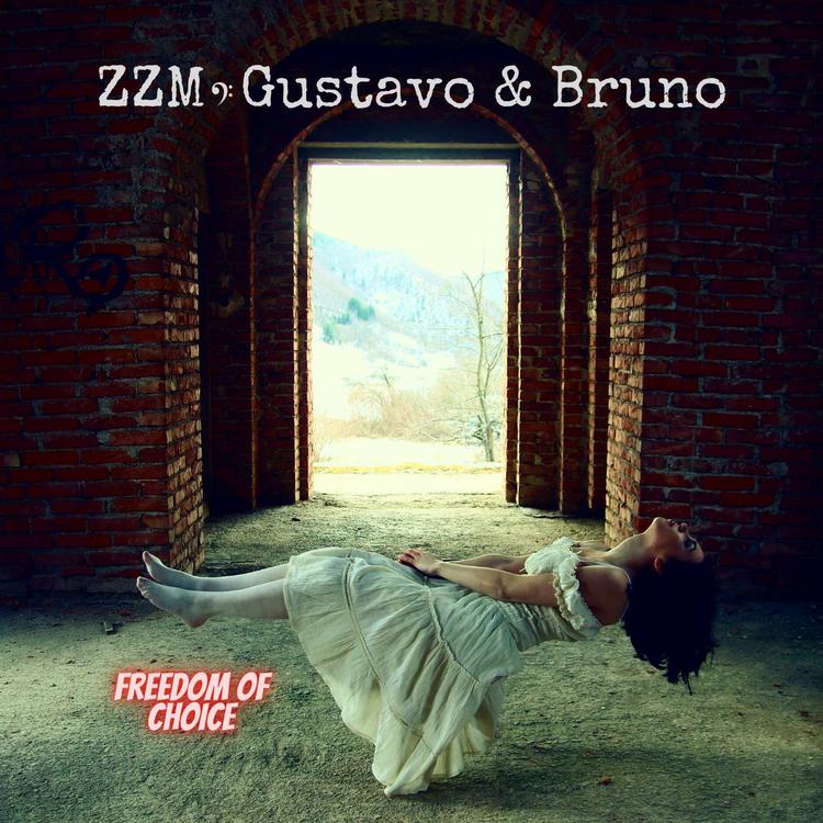 ZZM, Gustavo & Bruno's avatar image